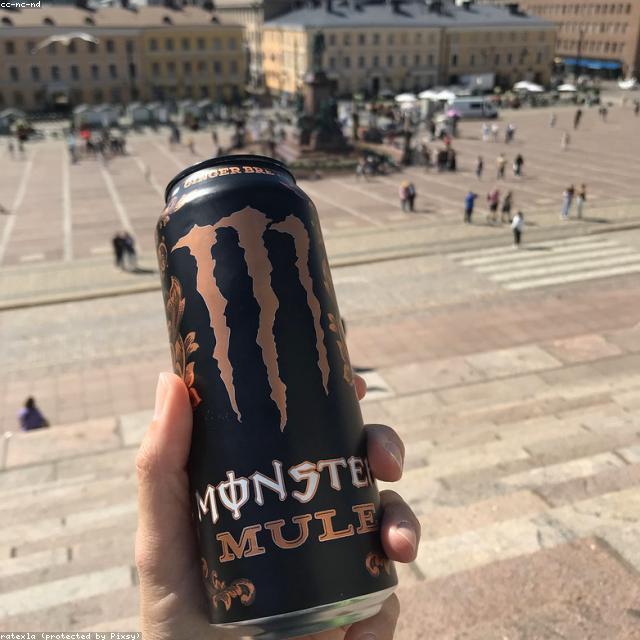 AMZ-NOASIN-brisklemoniced