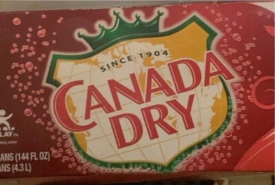 Canada Dry Ginger Ale Soda, 12 fl oz can